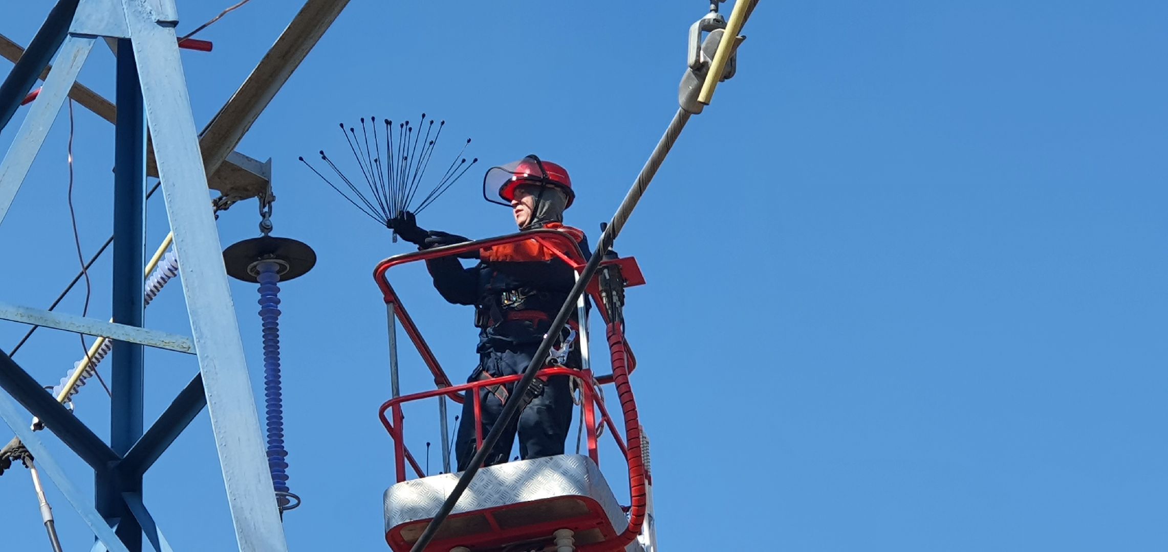 Энергетика Подмосковья, птицезащитные устройства, Россети Московский регион
