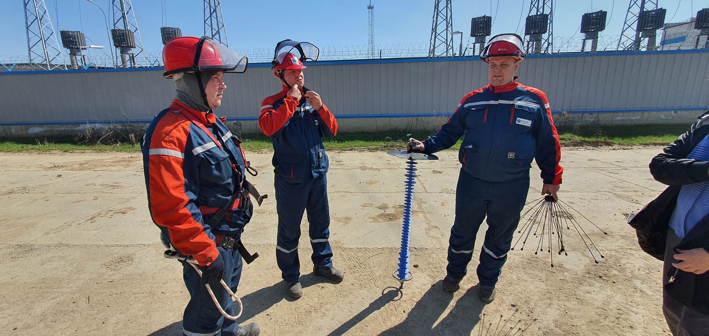 Энергетика Подмосковья, птицезащитные устройства, Россети Московский регион