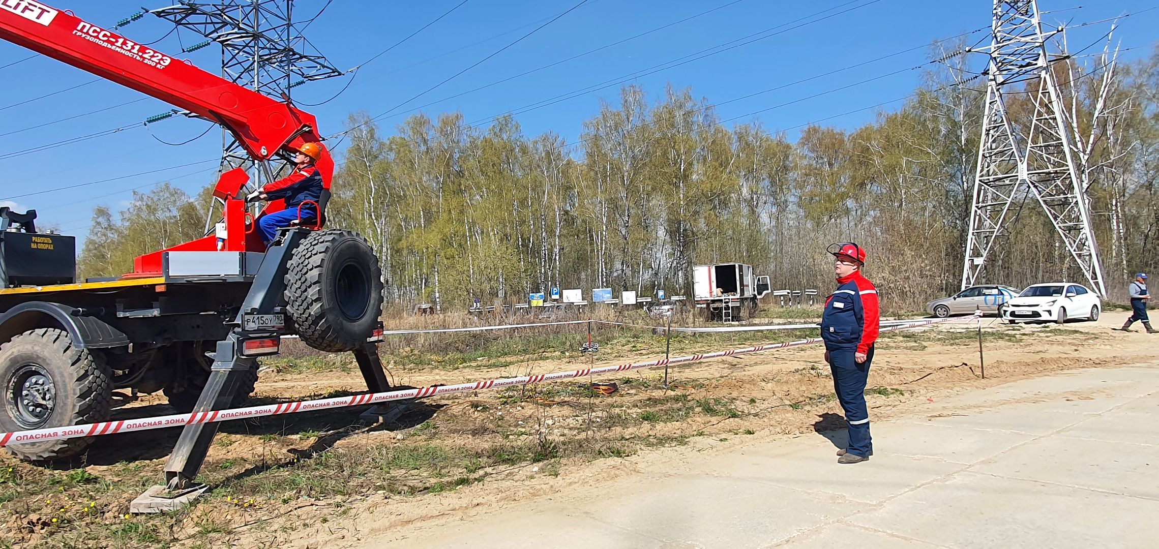 Энергетика Подмосковья, птицезащитные устройства, Россети Московский регион