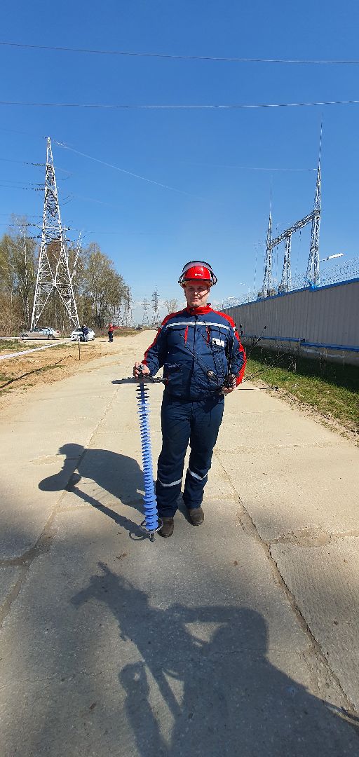 Энергетика Подмосковья, птицезащитные устройства, Россети Московский регион