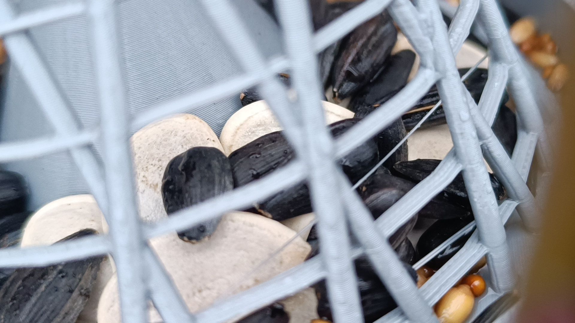 лобня, башня шухова, кормушка,