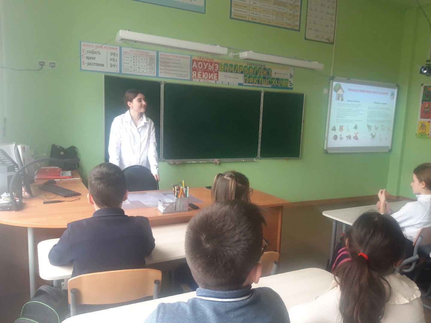 дети, школы,