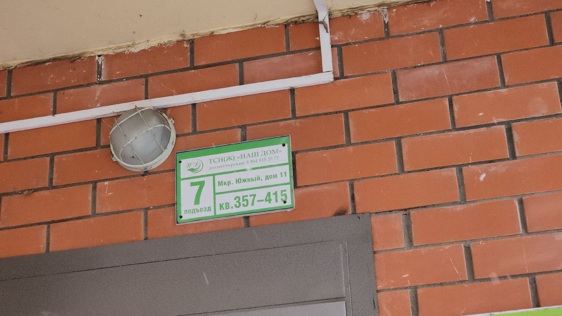 котельники, мигранты, рейд, безопасность, полиция,