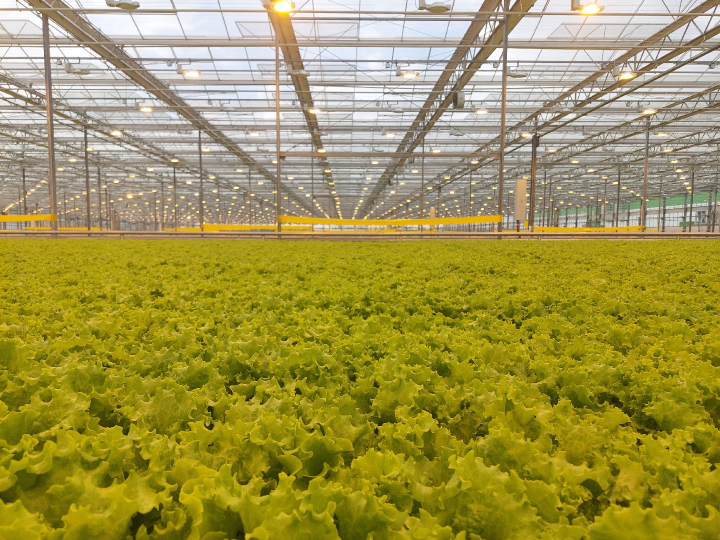 экономика, производство, Воскресенск