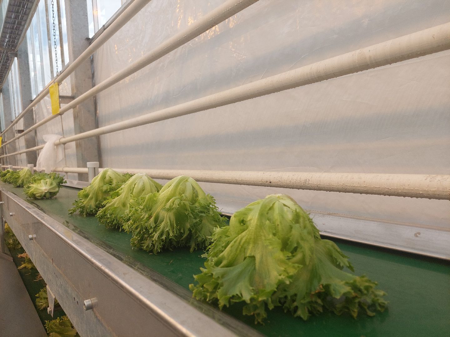 экономика, производство, Воскресенск