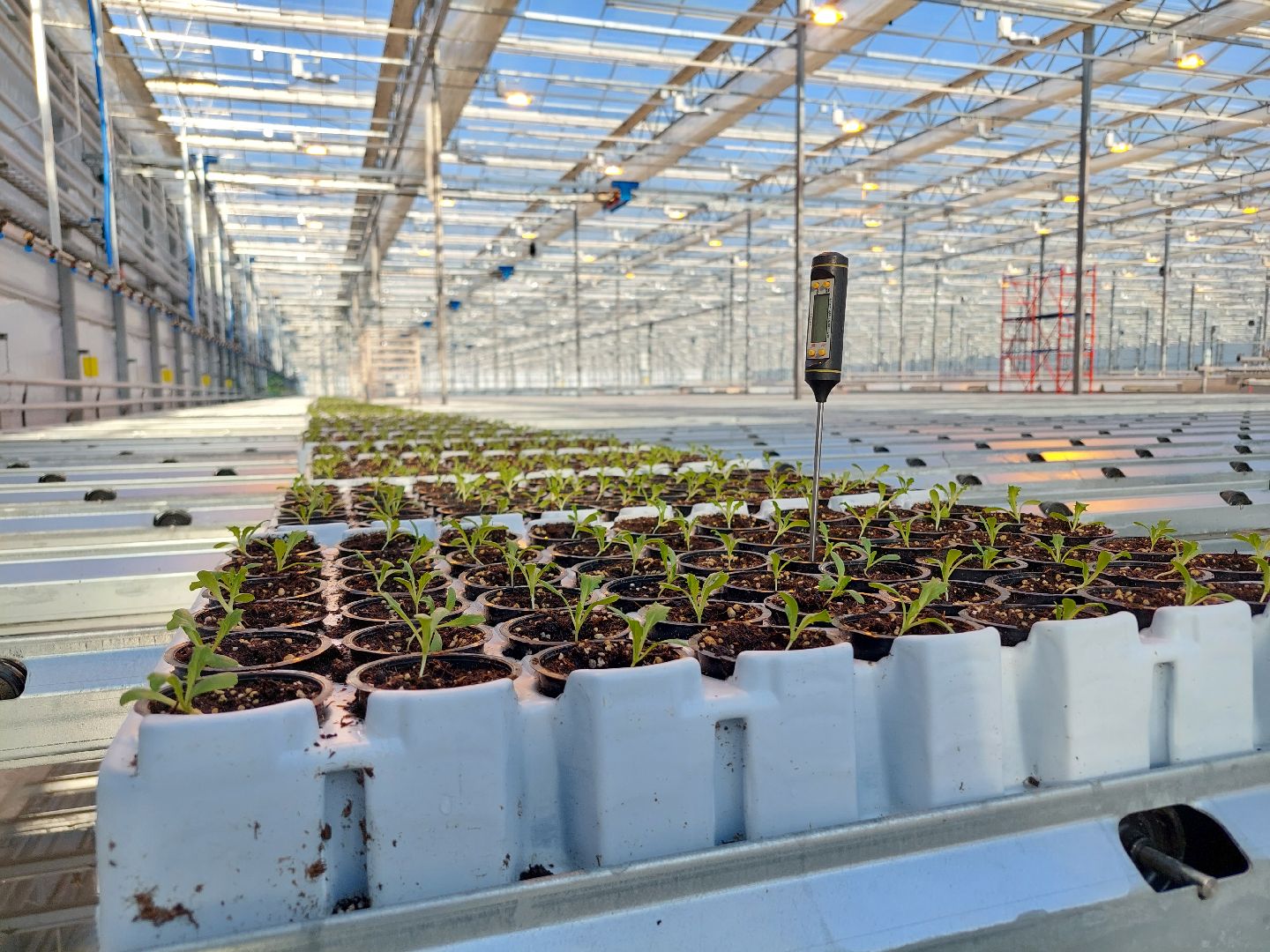 экономика, производство, Воскресенск