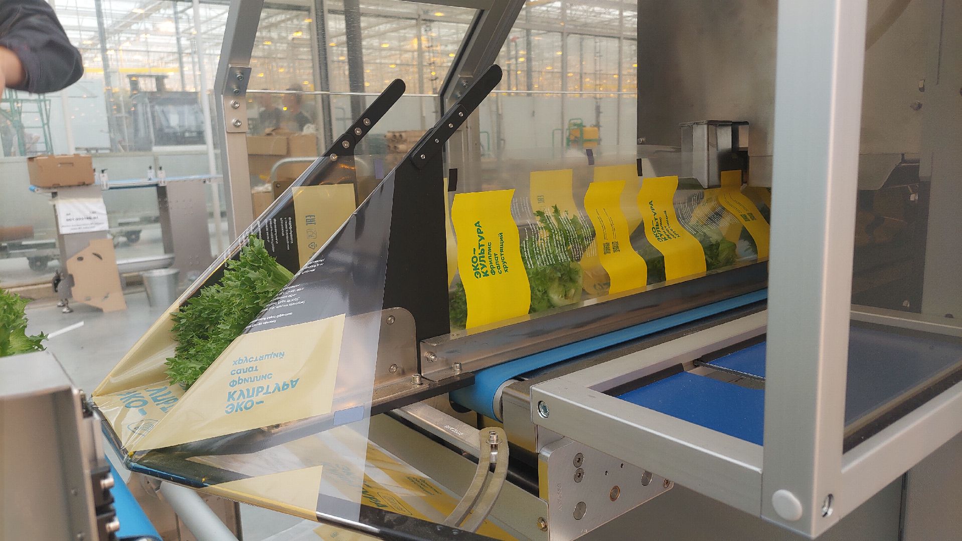 экономика, производство, Воскресенск