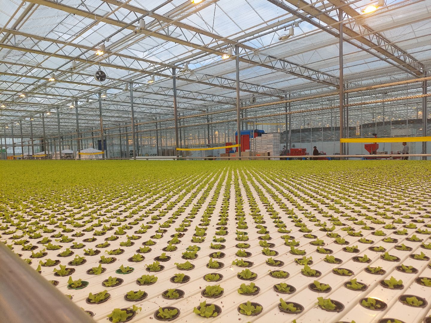 экономика, производство, Воскресенск