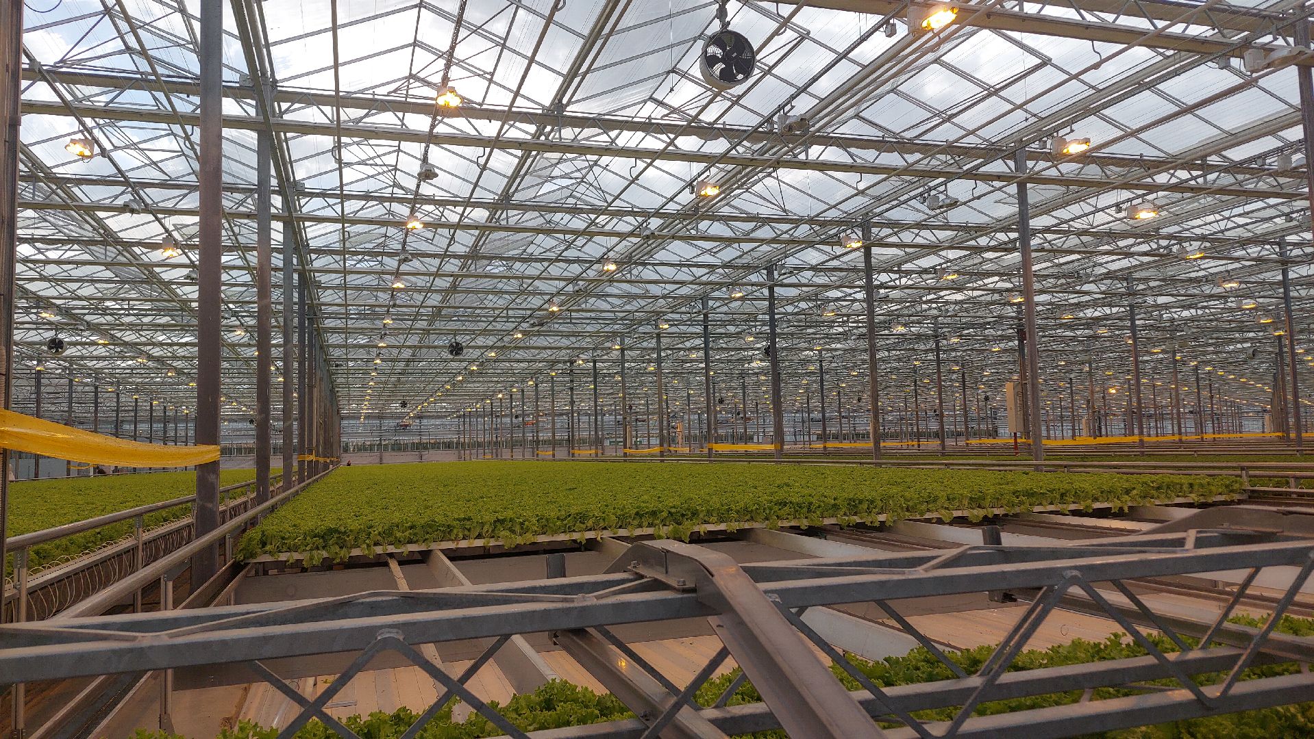 экономика, производство, Воскресенск