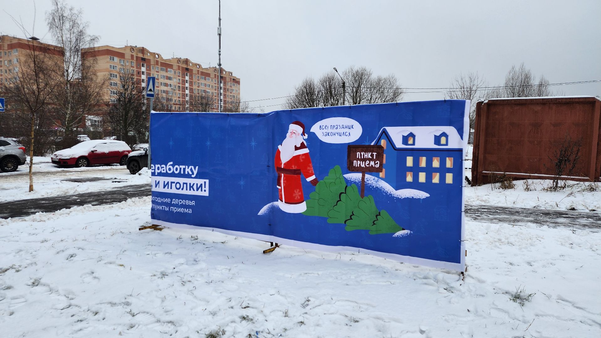 экологическая акция, Ногинск, Богородский городской округ, елки,
