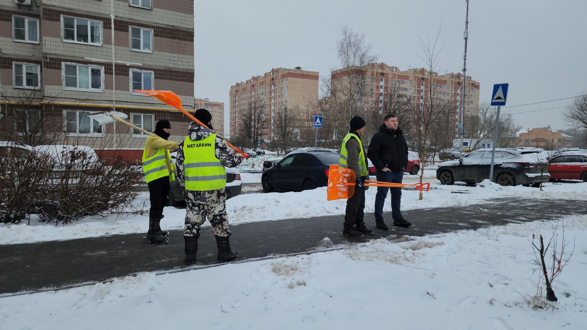 экологическая акция, Ногинск, Богородский городской округ, елки,
