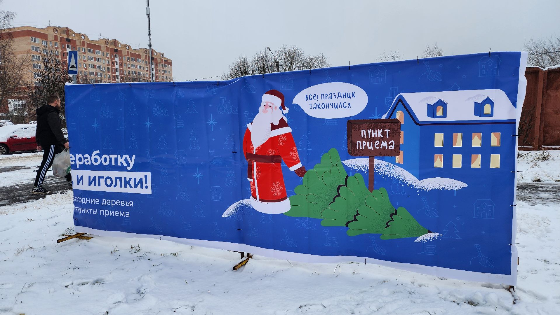экологическая акция, Ногинск, Богородский городской округ, елки,