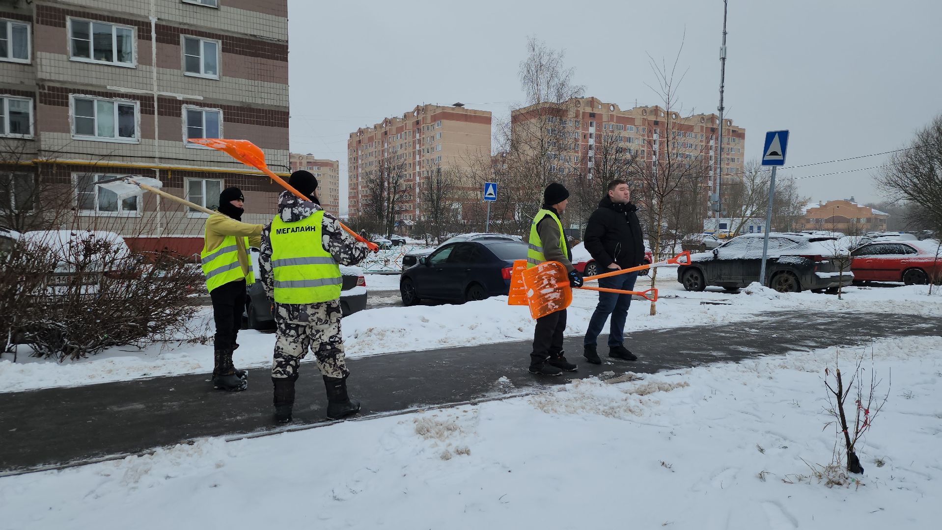 экологическая акция, Ногинск, Богородский городской округ, елки,