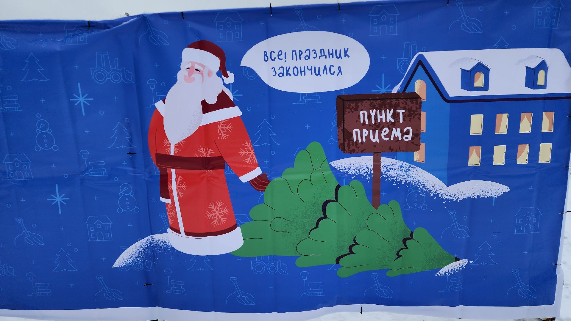 экологическая акция, Ногинск, Богородский городской округ, елки,