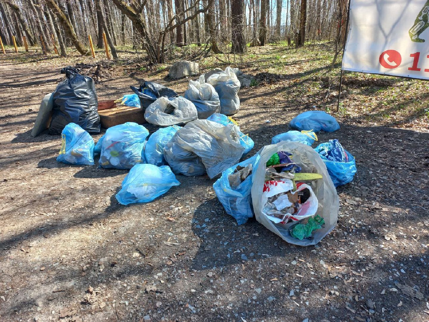 Солнечногорск, благоустройство, чистота, субботник, уборка