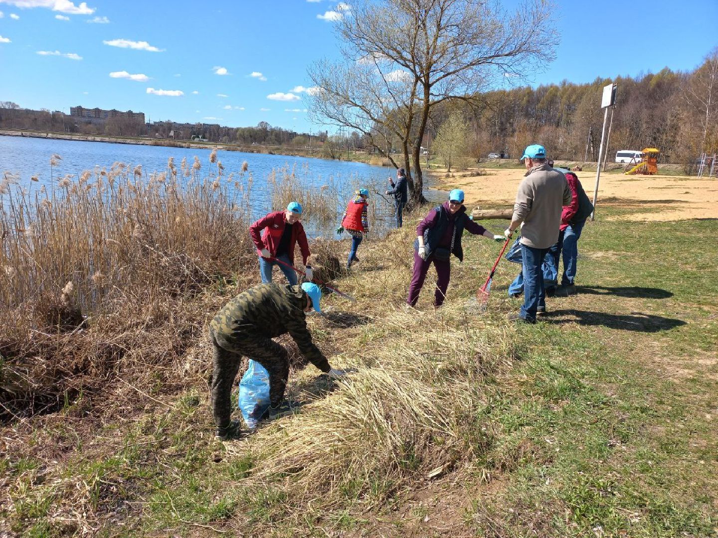 Солнечногорск, благоустройство, чистота, субботник, уборка