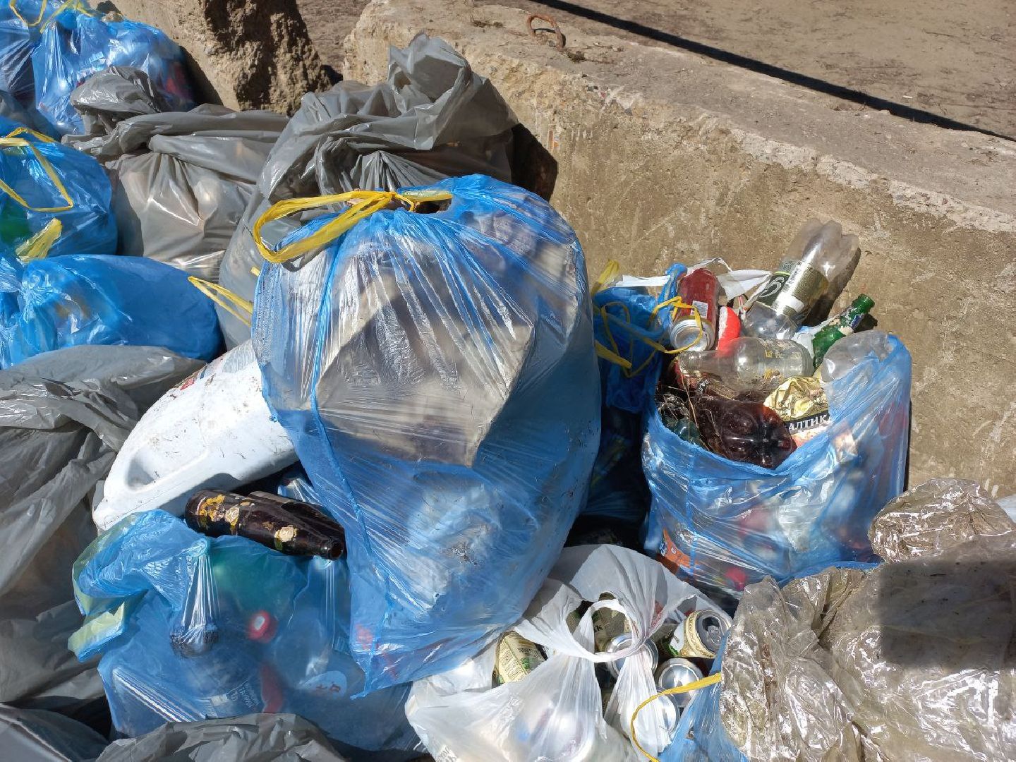 Солнечногорск, благоустройство, чистота, субботник, уборка