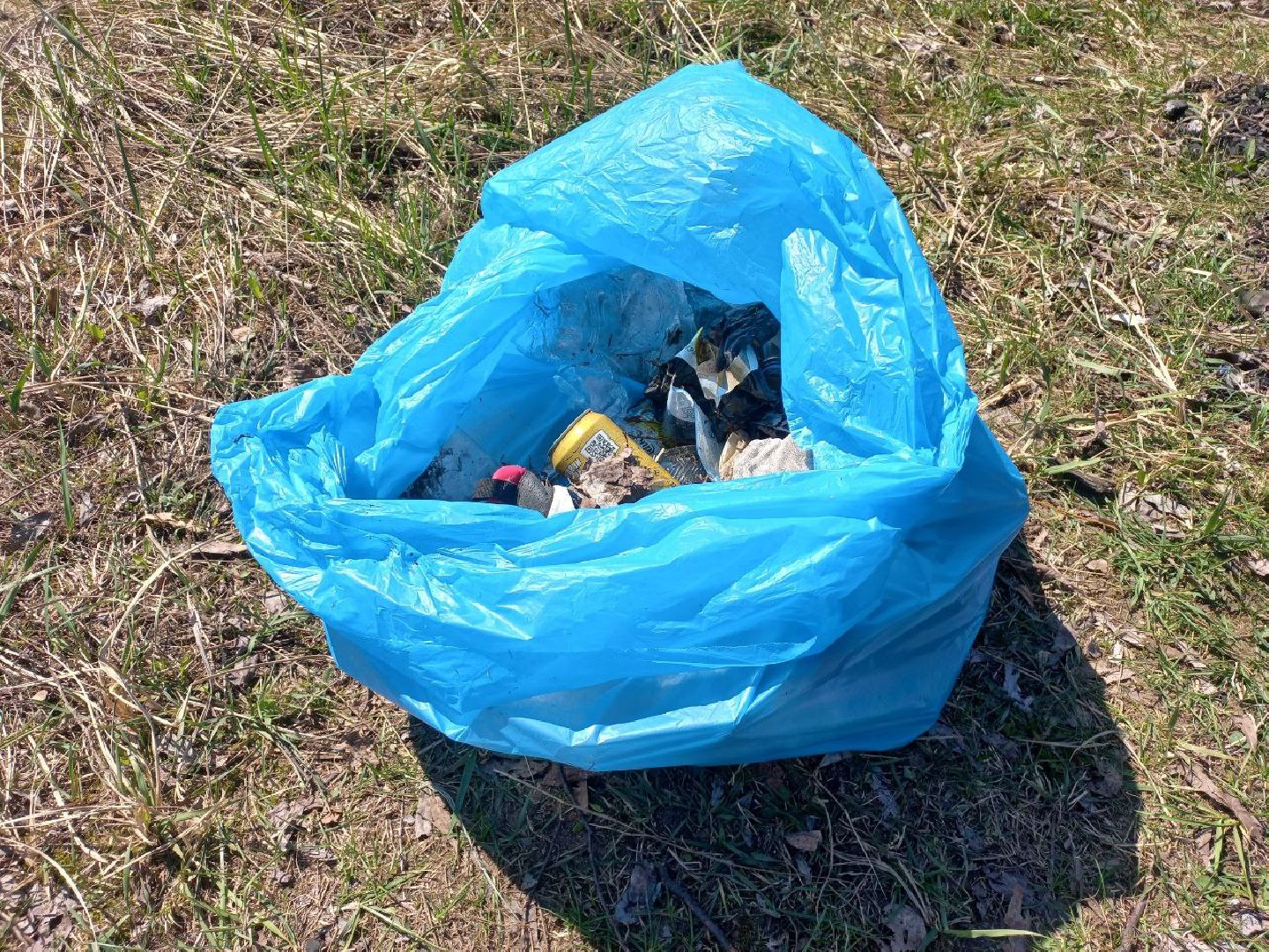 Солнечногорск, благоустройство, чистота, субботник, уборка