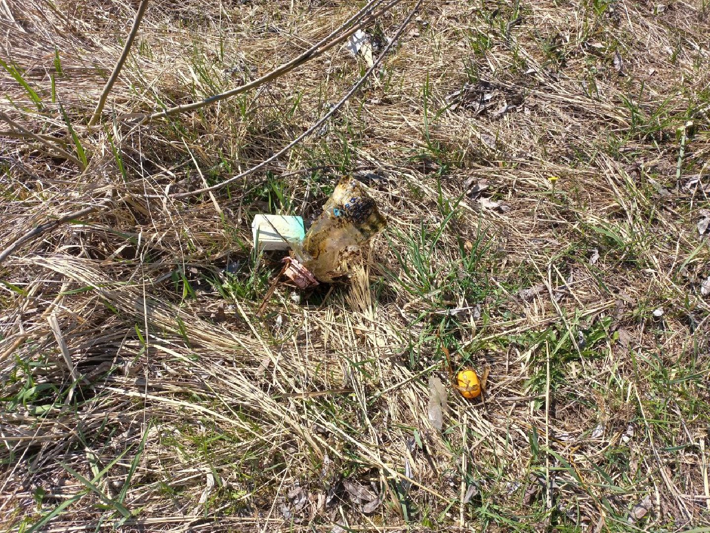 Солнечногорск, благоустройство, чистота, субботник, уборка