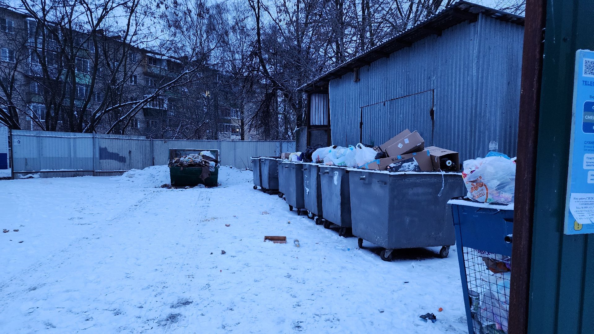 Бронницы, Эко-акция, Сдай елку на переработку, Мегабак, вертикалки,