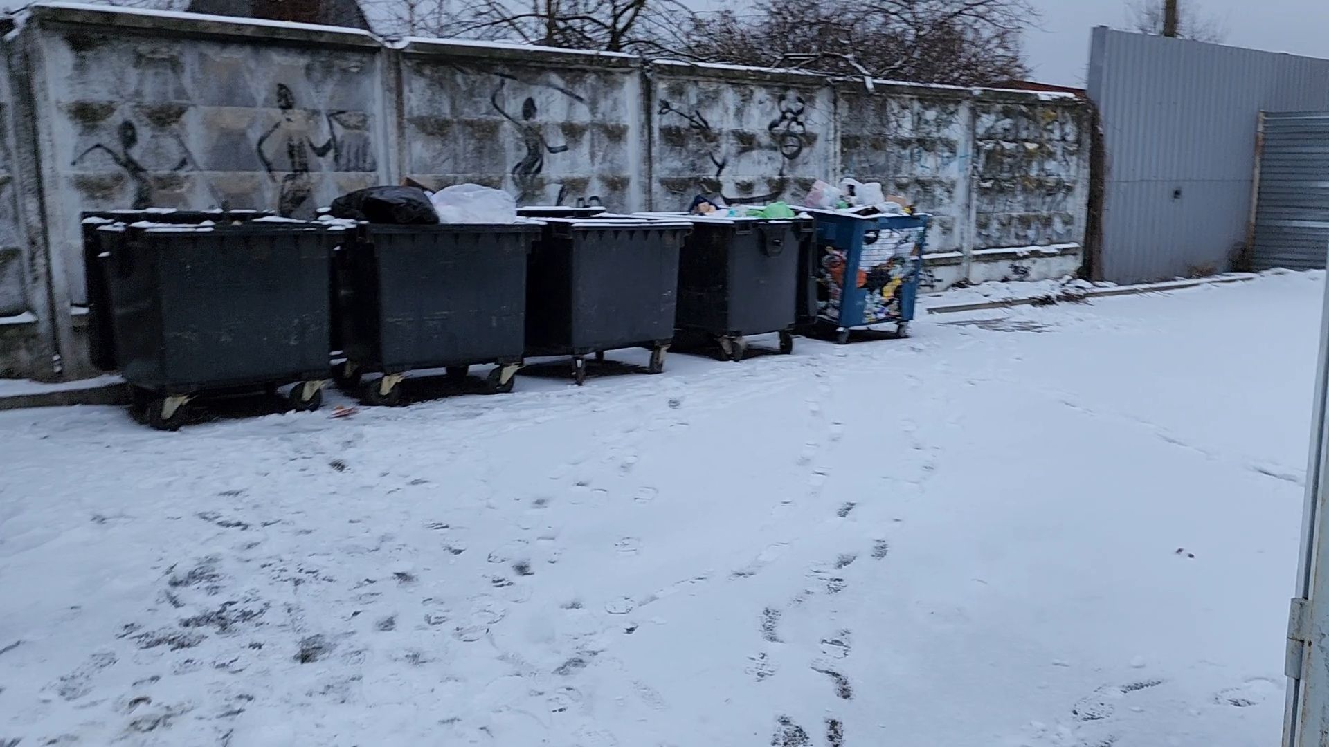 Бронницы, Эко-акция, Сдай елку на переработку, Мегабак, вертикалки,