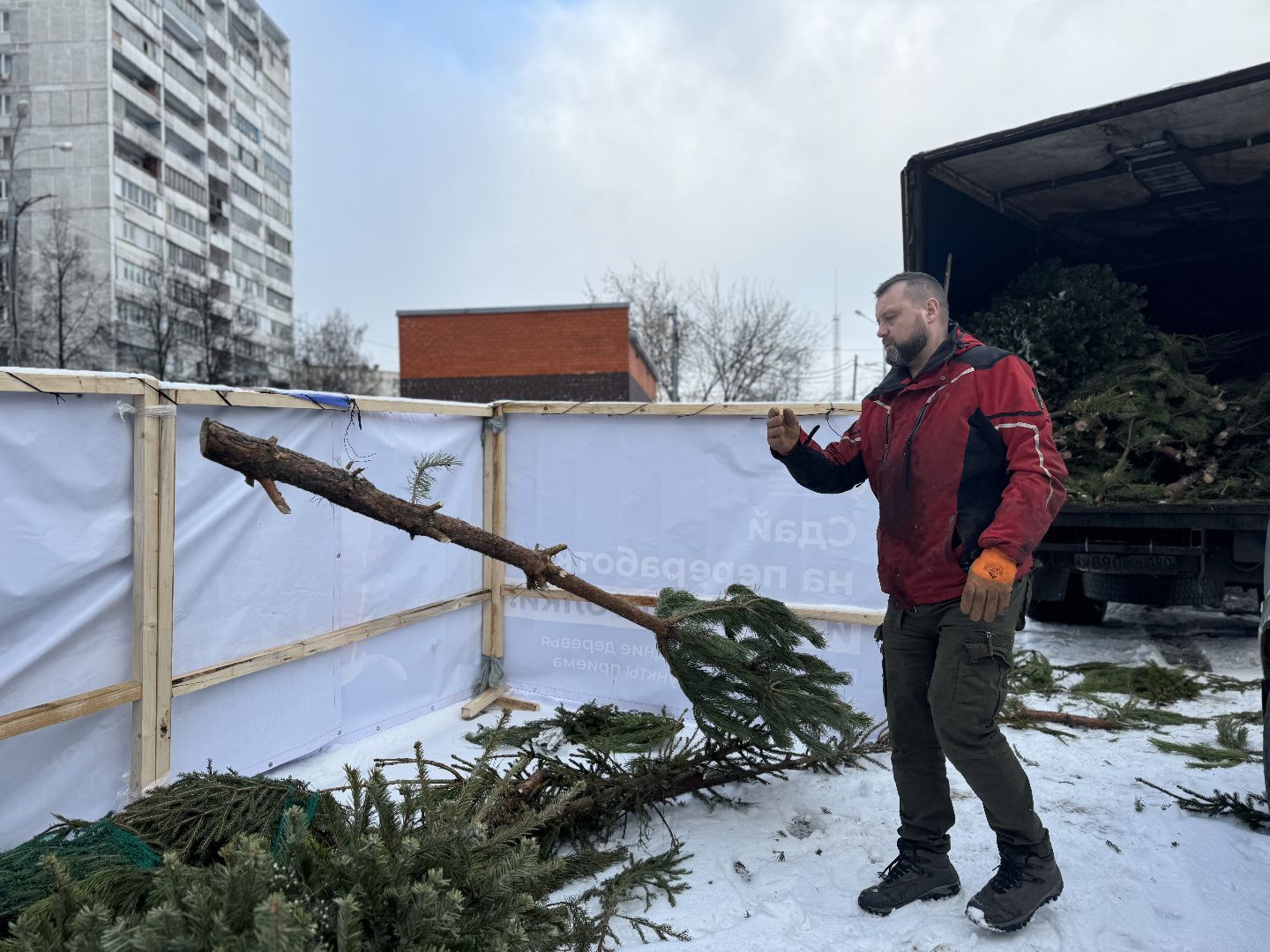 Акция, Новогодние ели, ленинский городской округ,