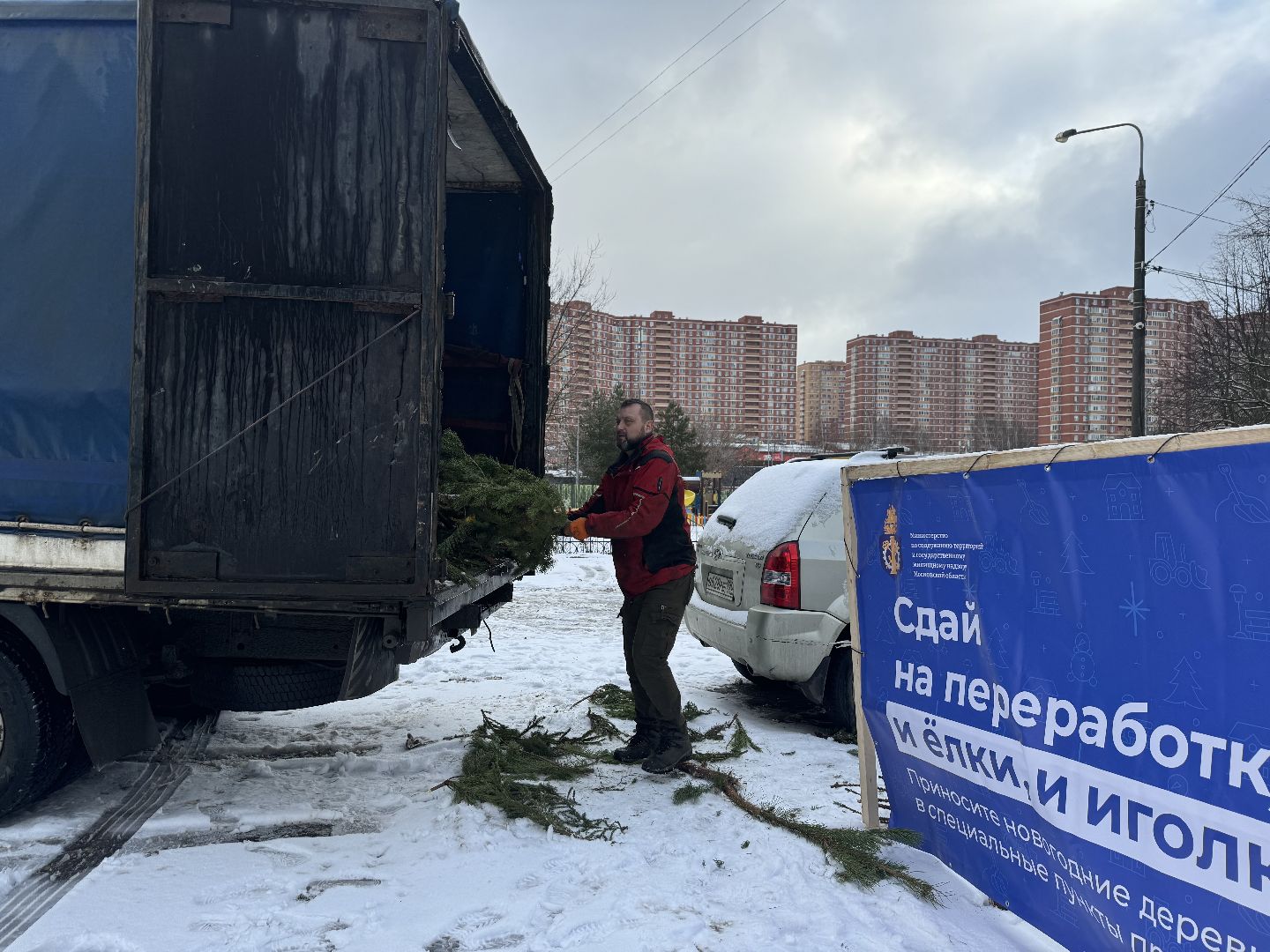 Акция, Новогодние ели, ленинский городской округ,