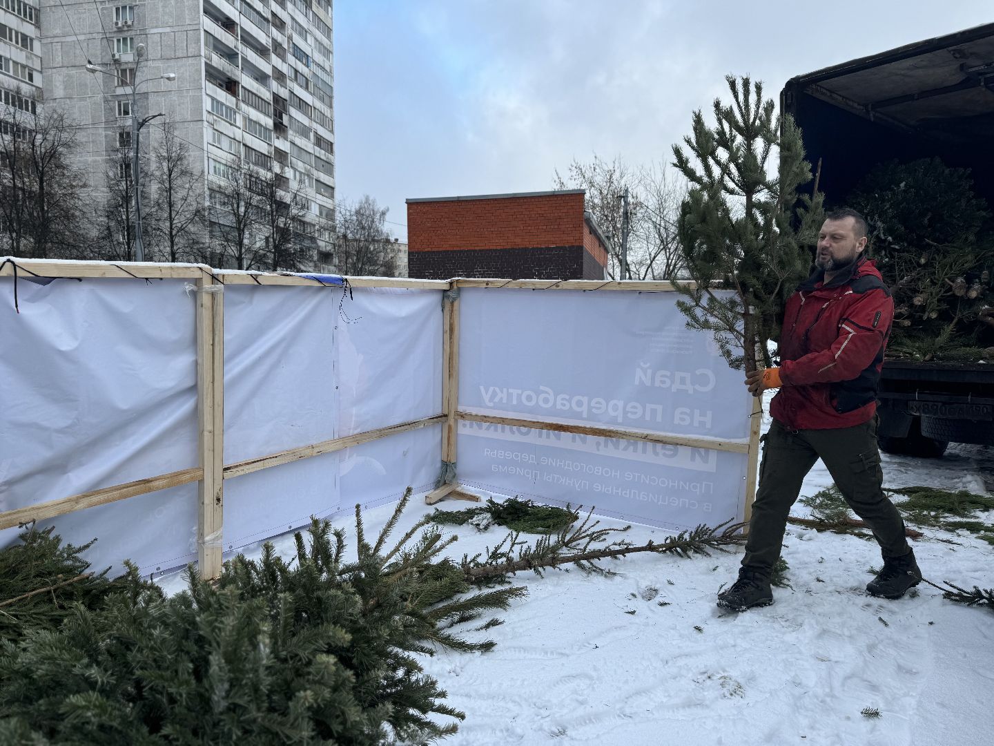 Акция, Новогодние ели, ленинский городской округ,