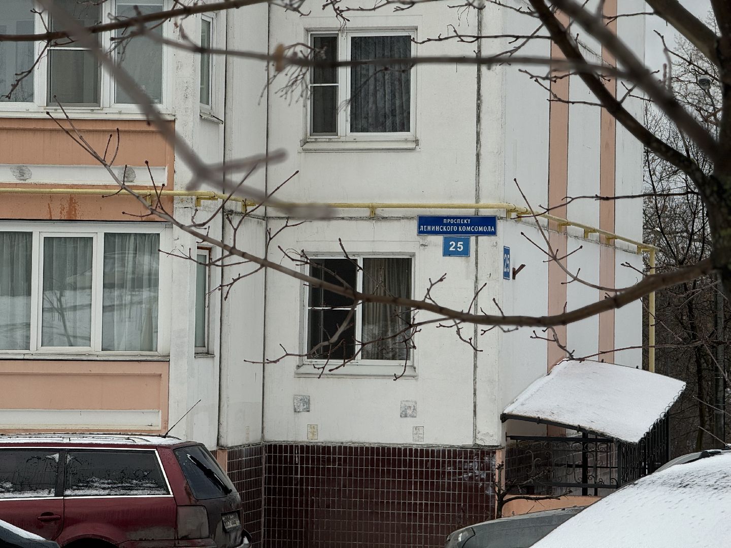 Акция, Новогодние ели, ленинский городской округ,