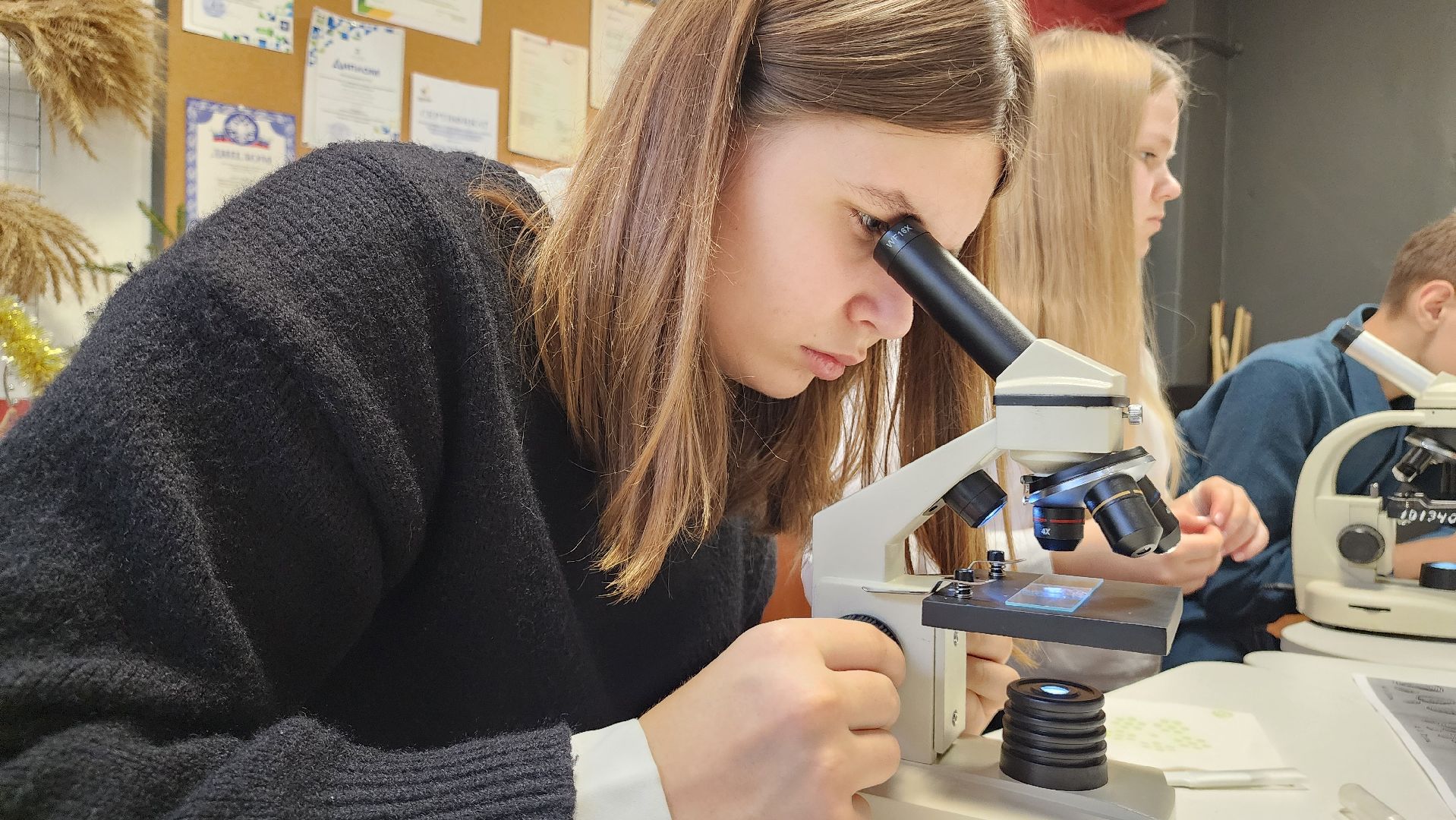 ступино, образование ступино, Малинская школа, агроклассы,