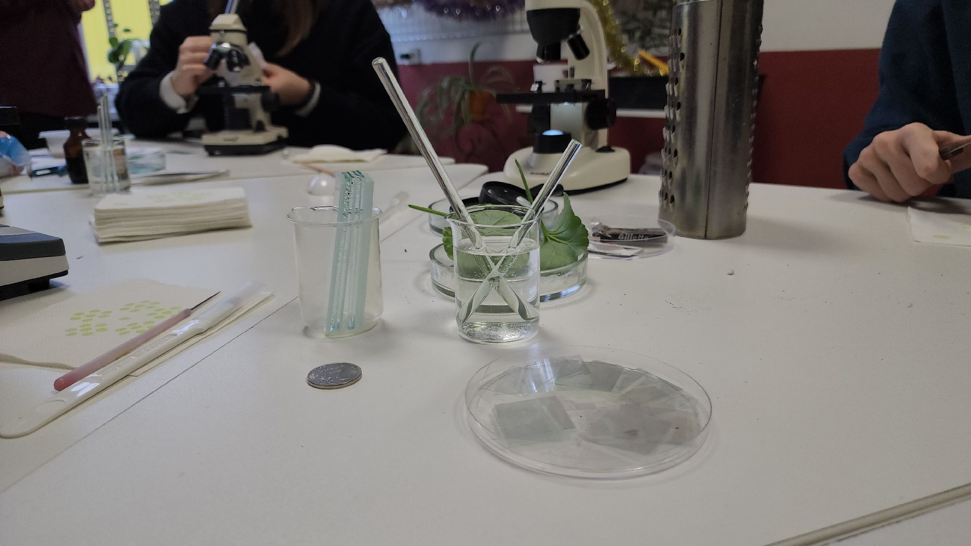 ступино, образование ступино, Малинская школа, агроклассы,