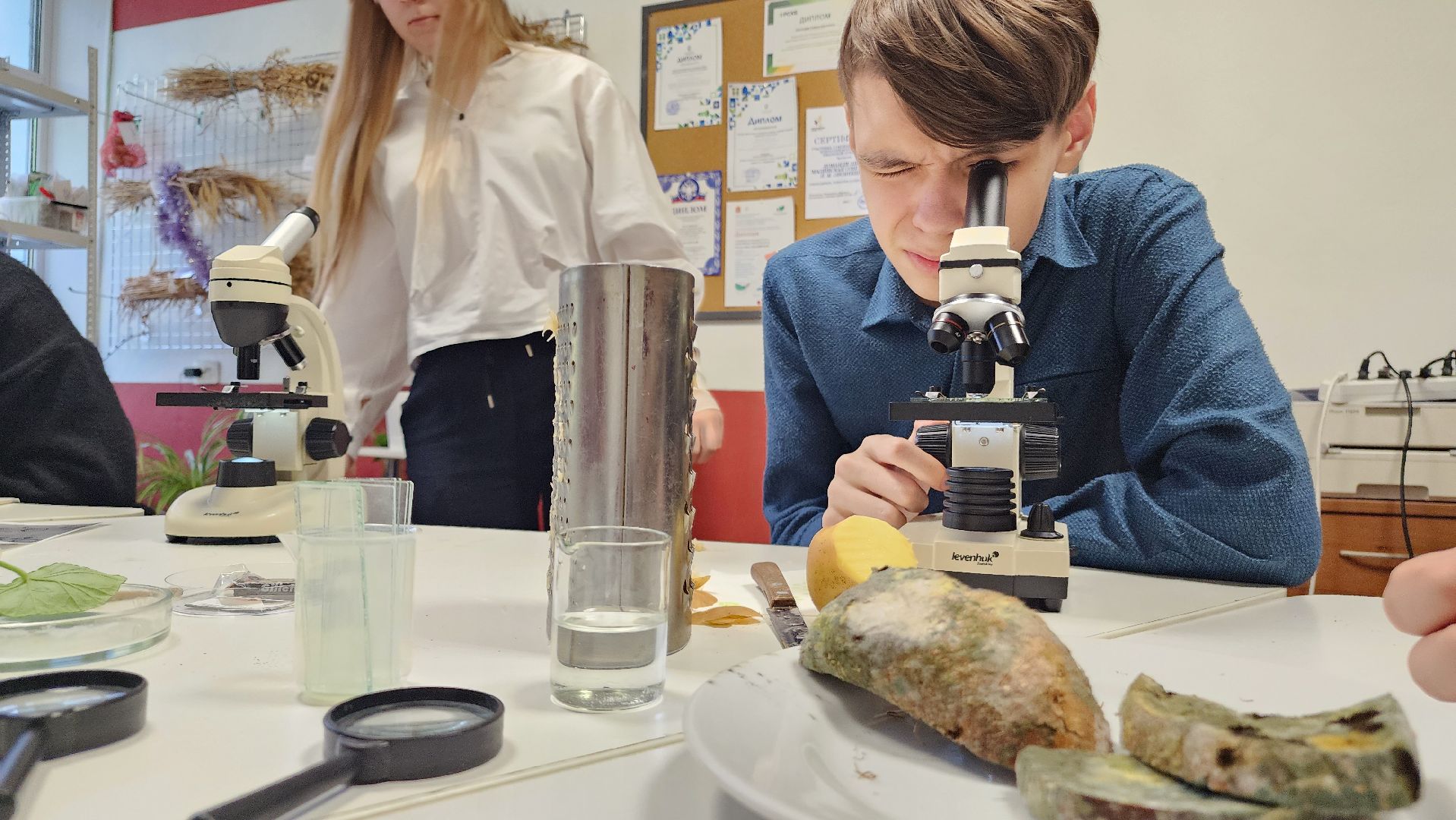 ступино, образование ступино, Малинская школа, агроклассы,