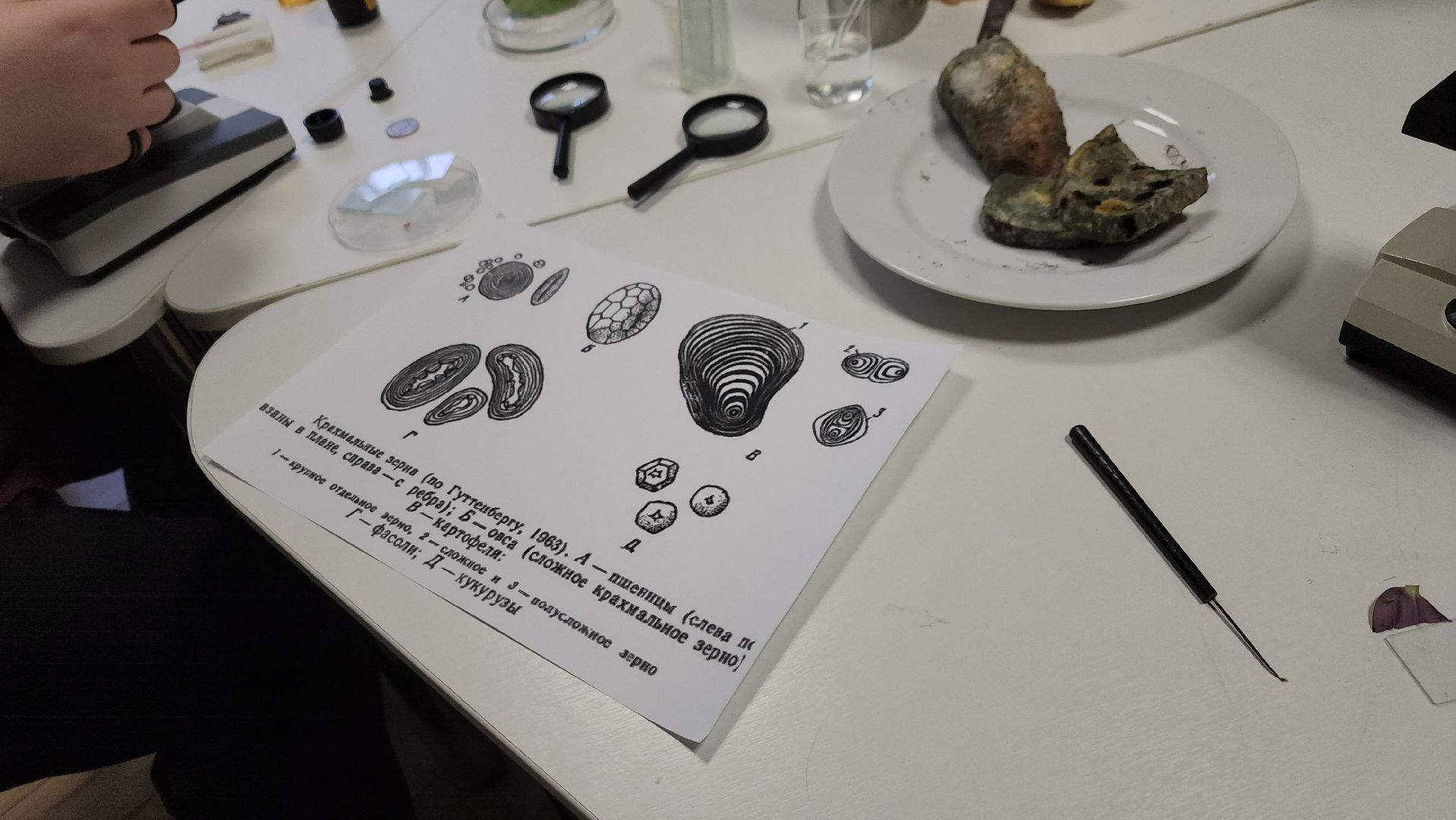 ступино, образование ступино, Малинская школа, агроклассы,