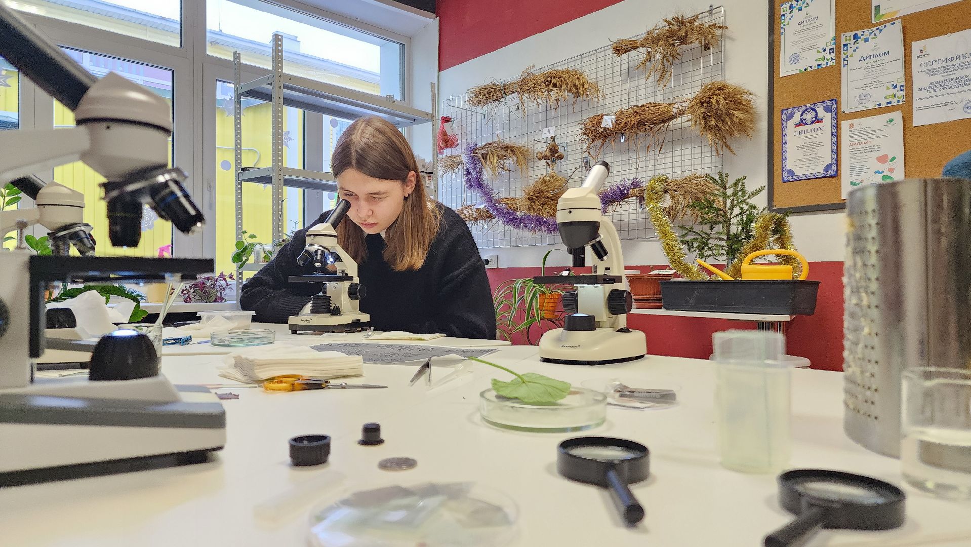 ступино, образование ступино, Малинская школа, агроклассы,