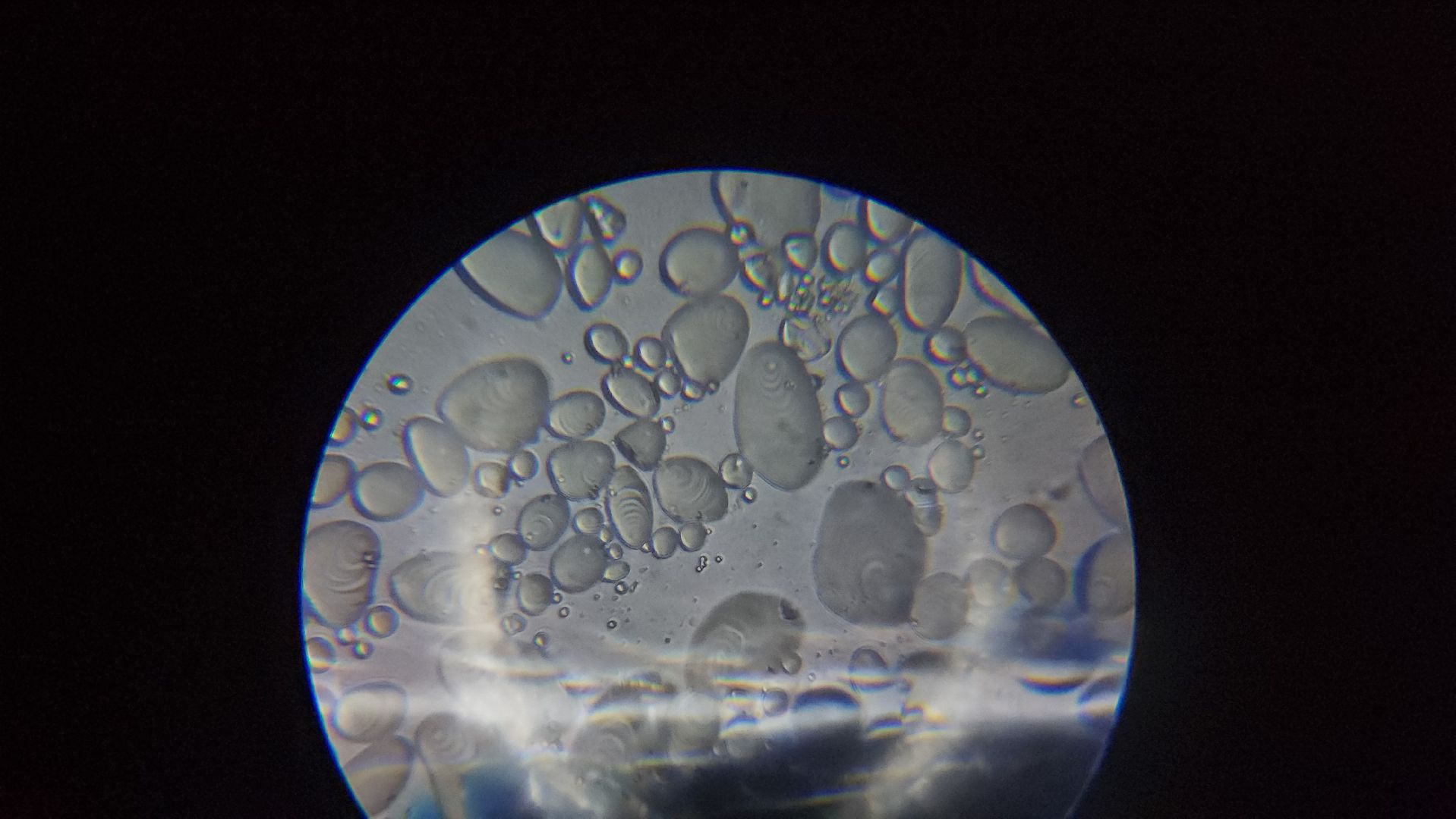 ступино, образование ступино, Малинская школа, агроклассы,