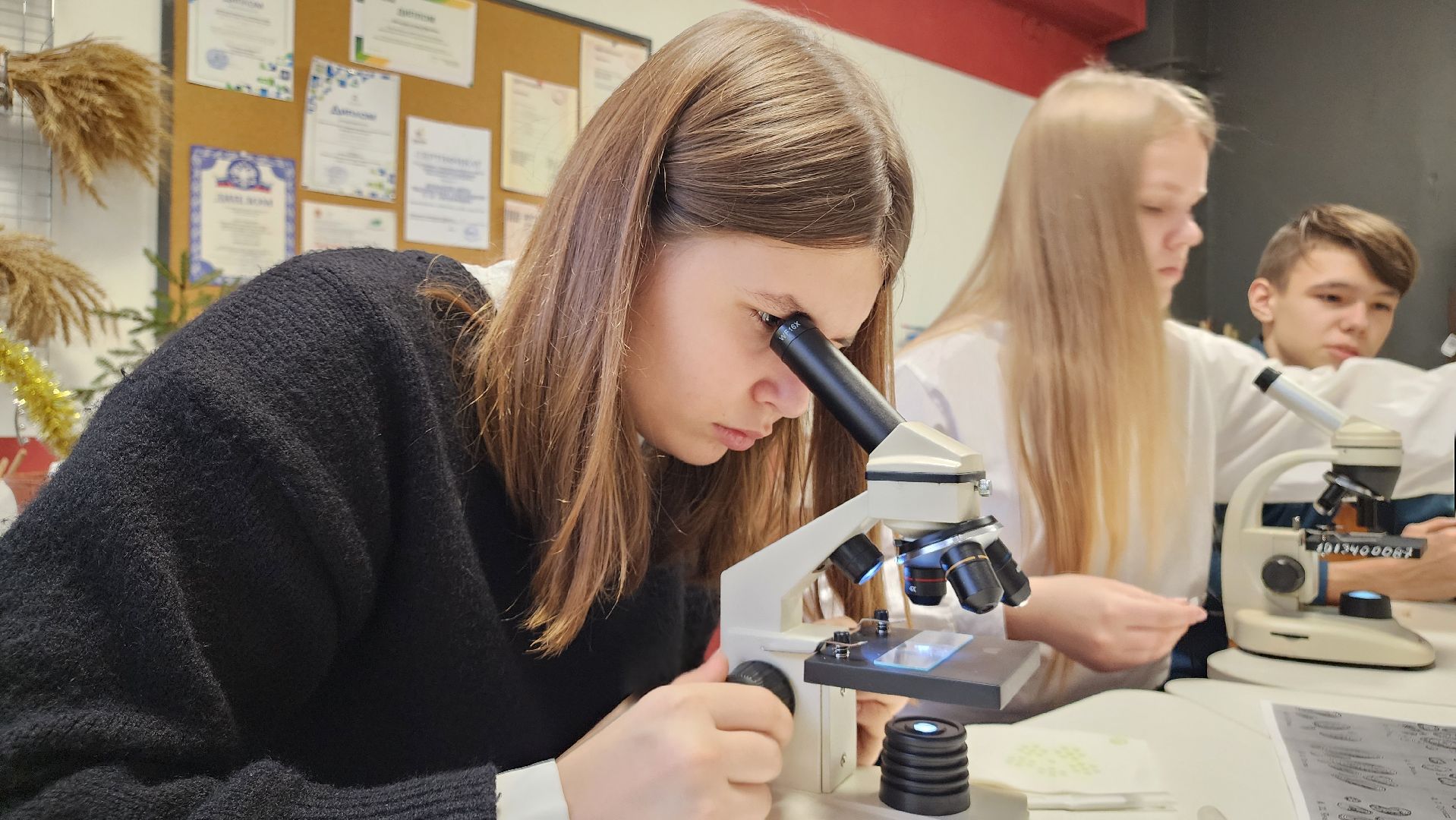ступино, образование ступино, Малинская школа, агроклассы,