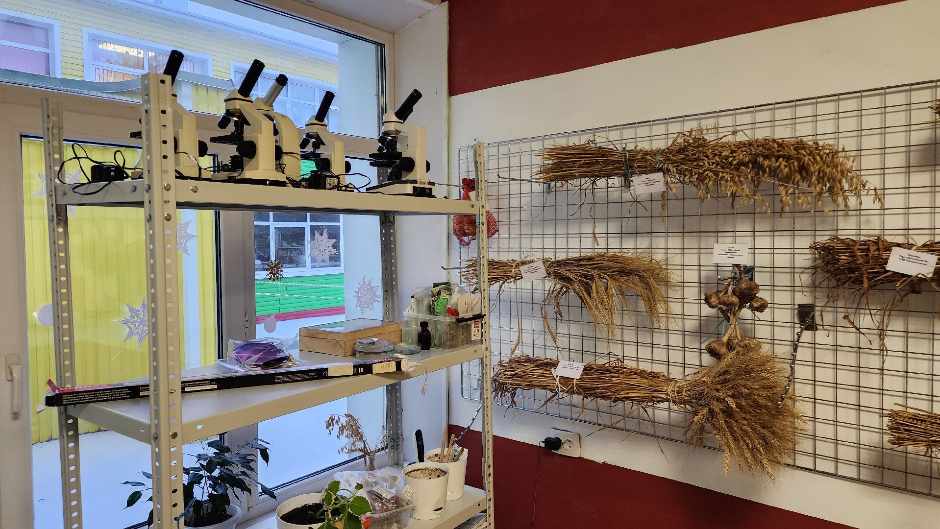 ступино, образование ступино, Малинская школа, агроклассы,