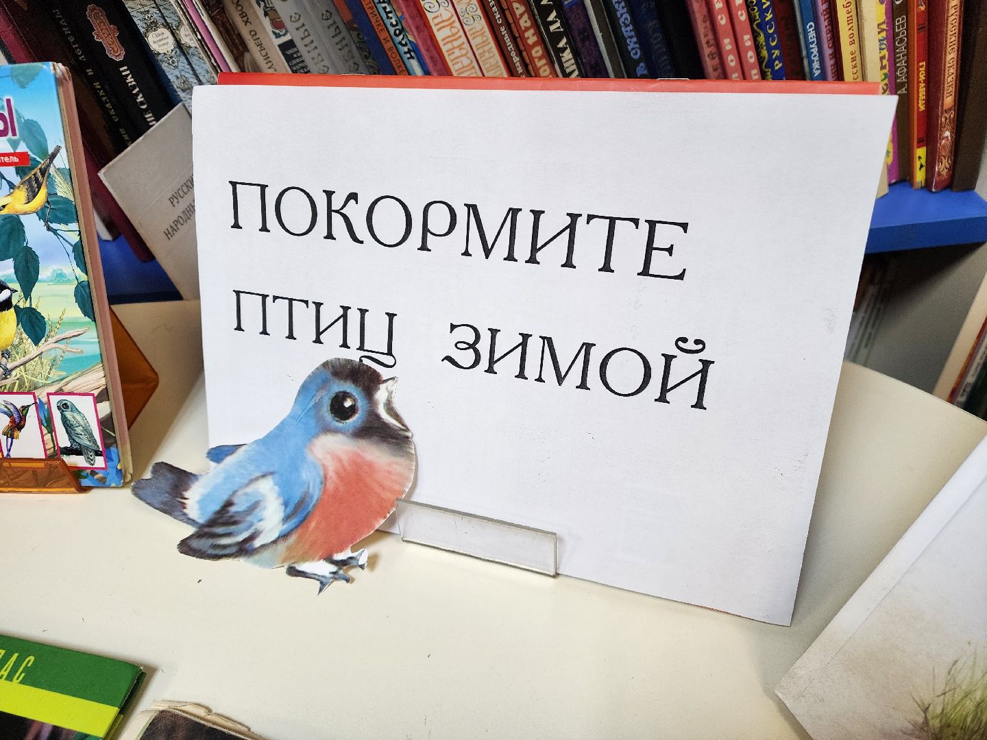 подольск, экология, птицы,