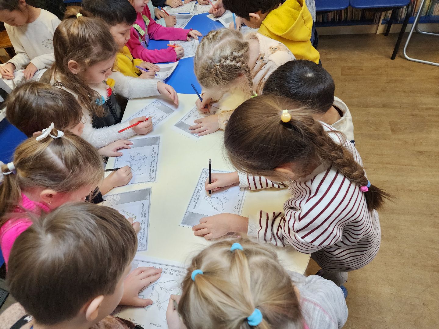 подольск, экология, птицы,