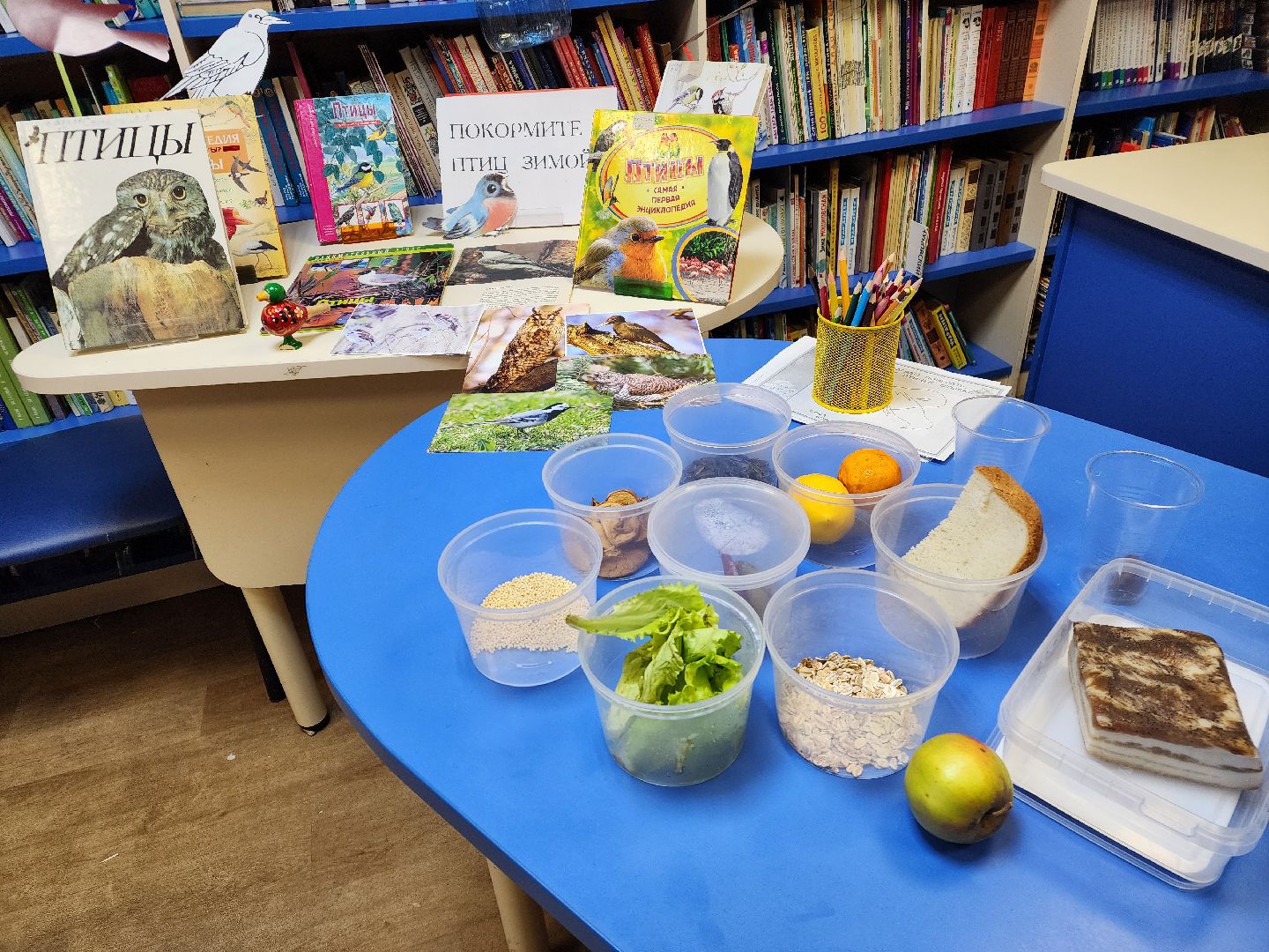 подольск, экология, птицы,