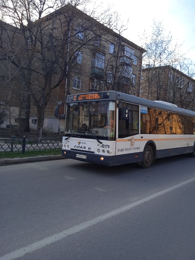 Красная, горка, автобусы, бесплатно, кладбище, Осровецкое