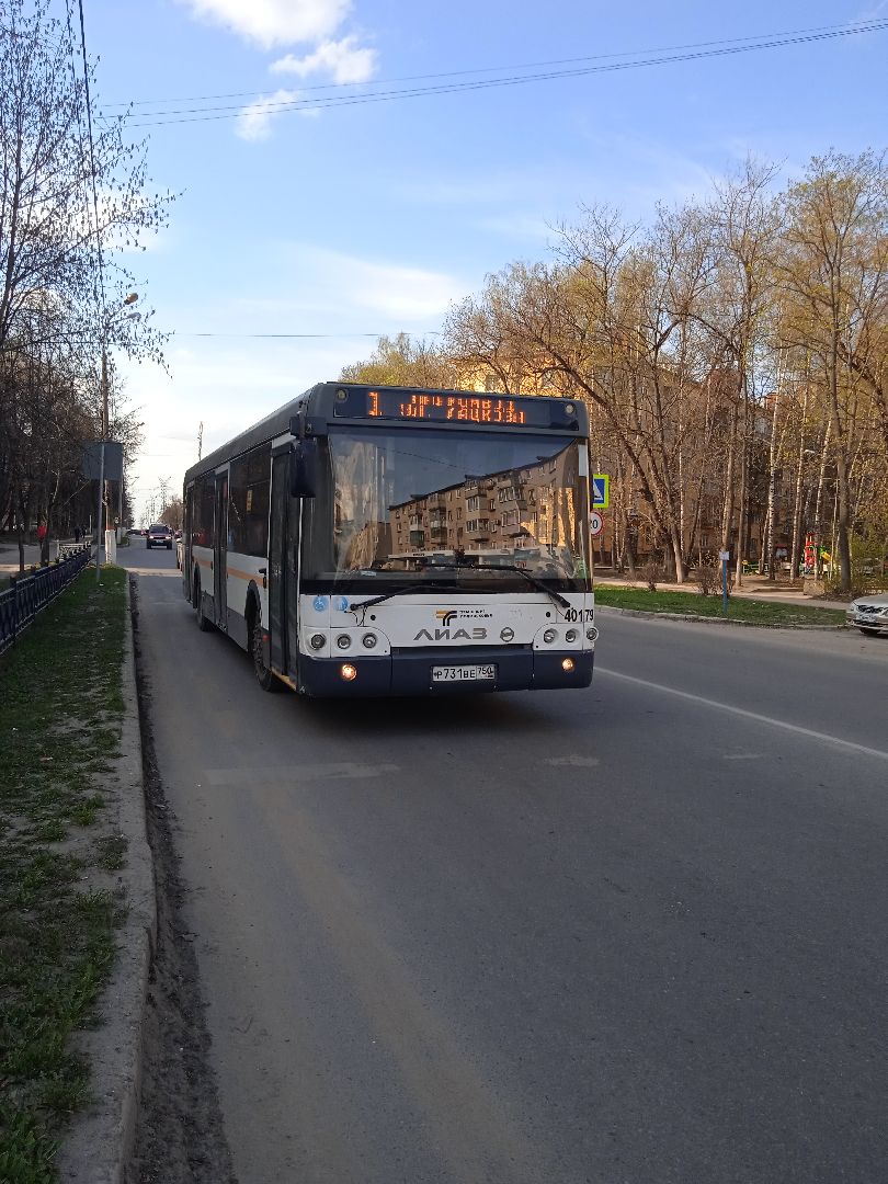 Красная, горка, автобусы, бесплатно, кладбище, Осровецкое