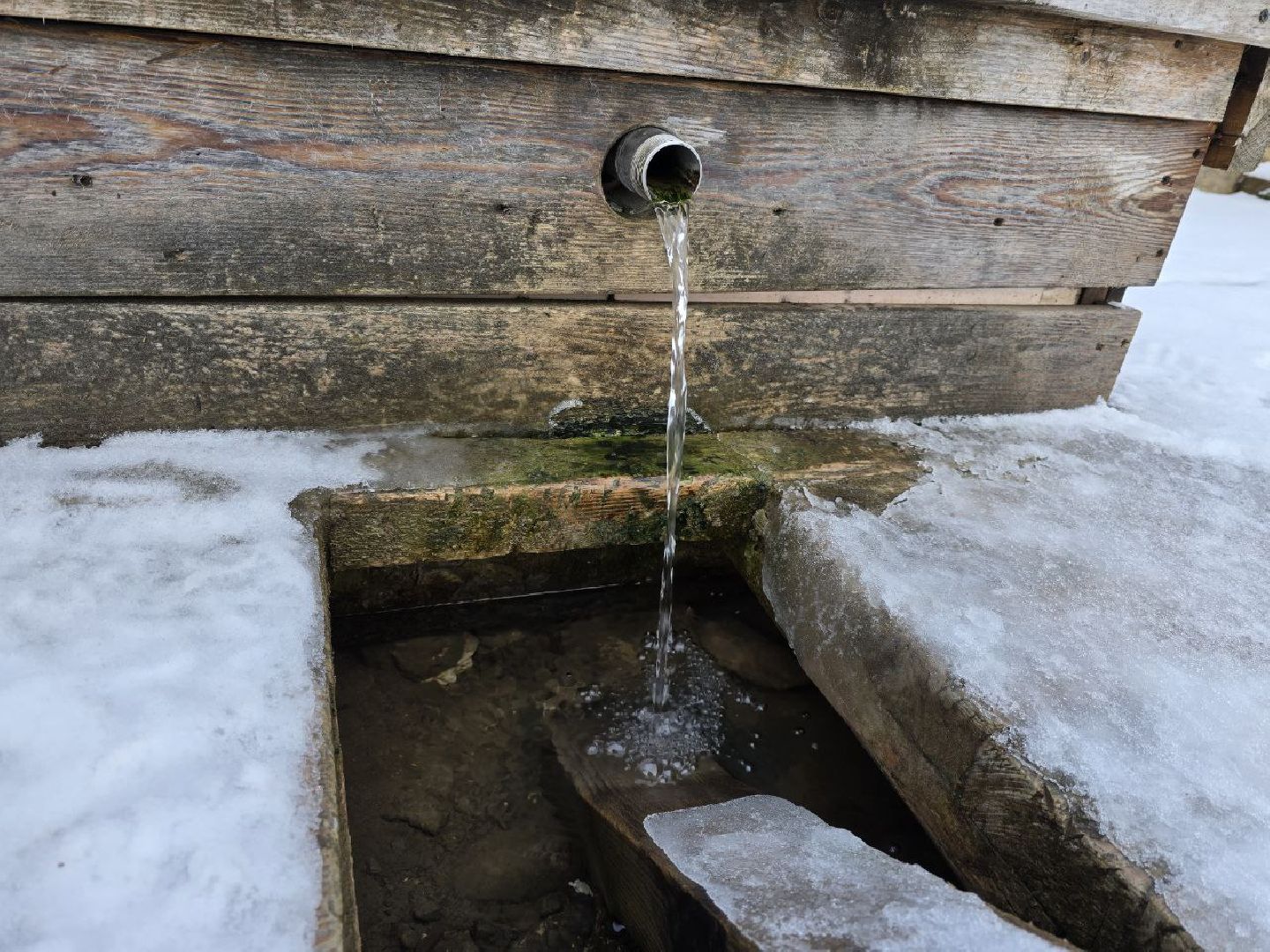 можайск, можайский городской округ, подмосковье, крещенские купания, крещение господне, православный праздник, купель, религия, вертикалки,