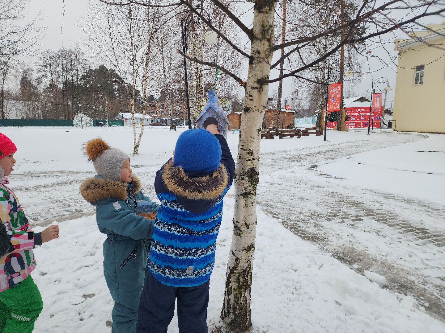 парк, птицы подмосковья, кормление птиц, акция в городском парке,