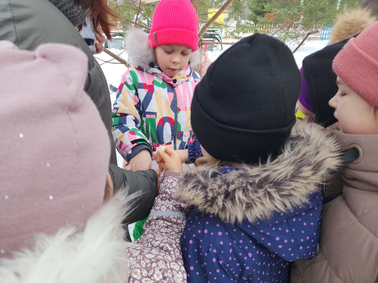 парк, птицы подмосковья, кормление птиц, акция в городском парке,