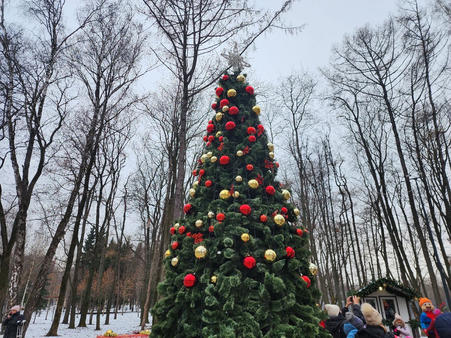 Коломна, зима в подмосковье,новогодние праздники, парки подмосковья,