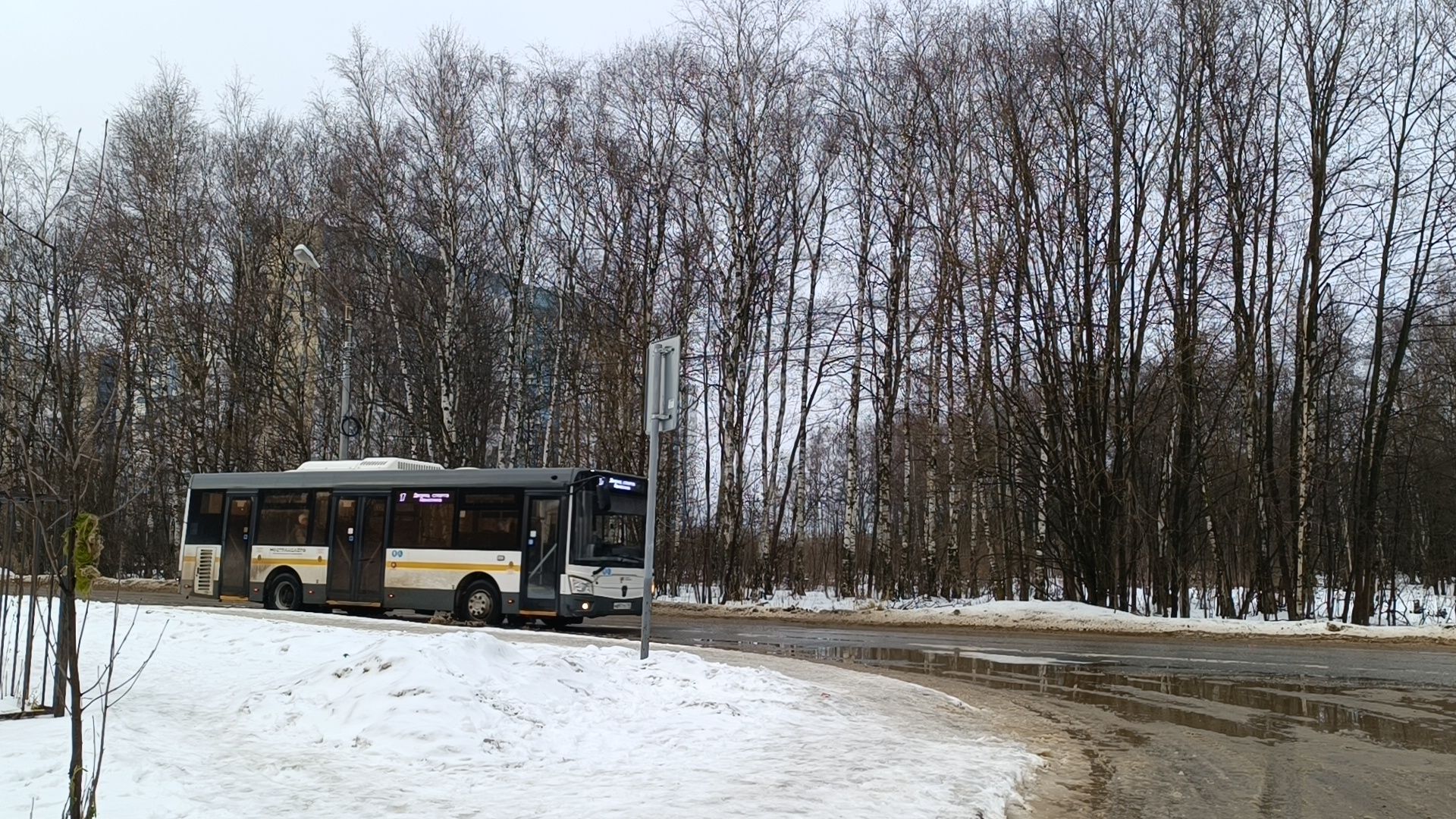 транспорт, автобус, лобня,