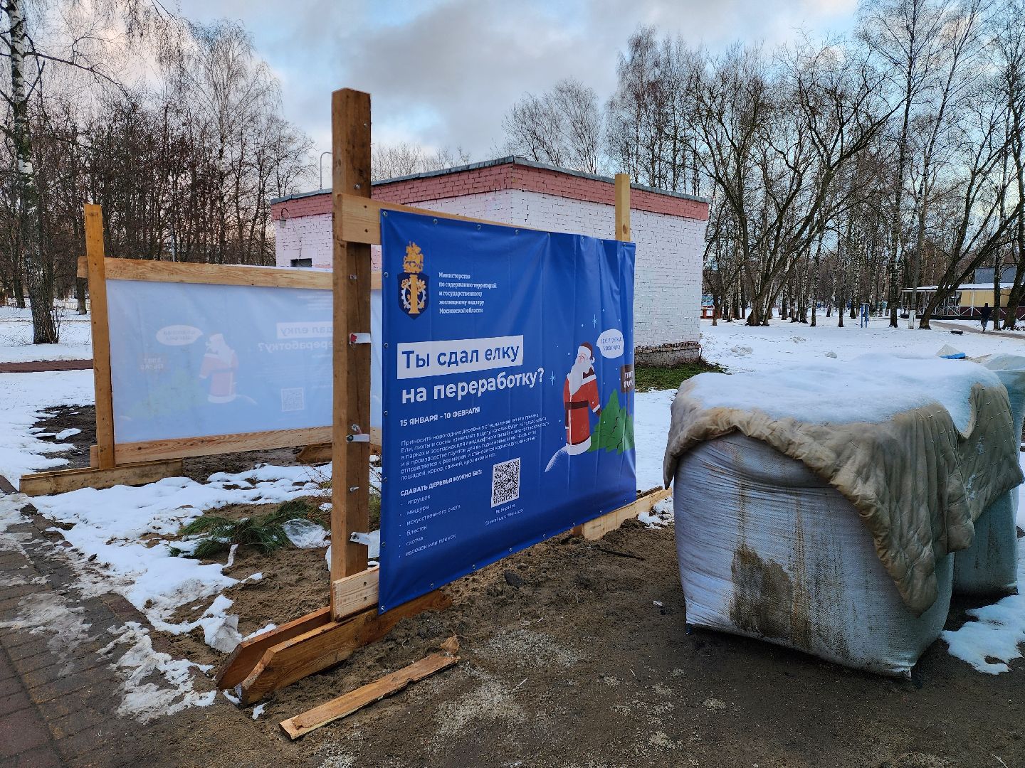 раменское, экология, акция по сбору старых живых новогодних елей,