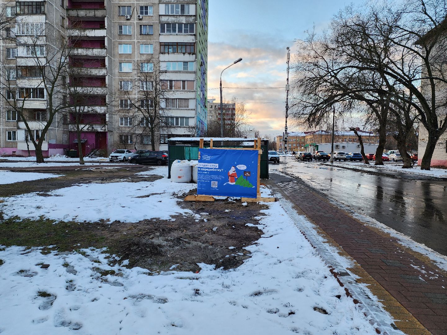 раменское, экология, акция по сбору старых живых новогодних елей,