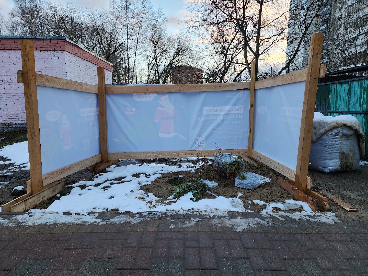 раменское, экология, акция по сбору старых живых новогодних елей,